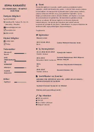 Yönetici Asistanı Cv Örnekleri cv indir